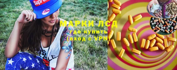 apvp Нея