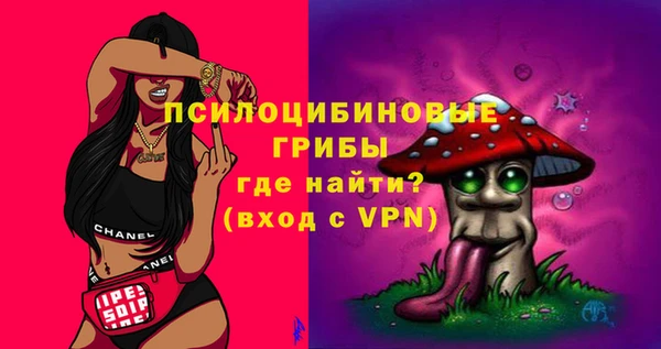 apvp Нея