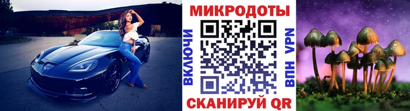 Псилоцибиновые грибы Magic Shrooms kraken tor Южно-Сухокумск