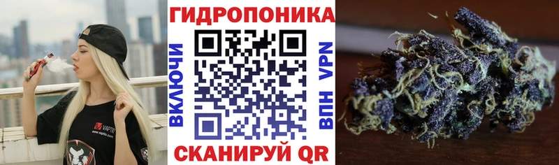 нарко площадка какой сайт Южно-Сухокумск Шишки марихуана Bruce Banner купить наркотики сайты кракен как войти